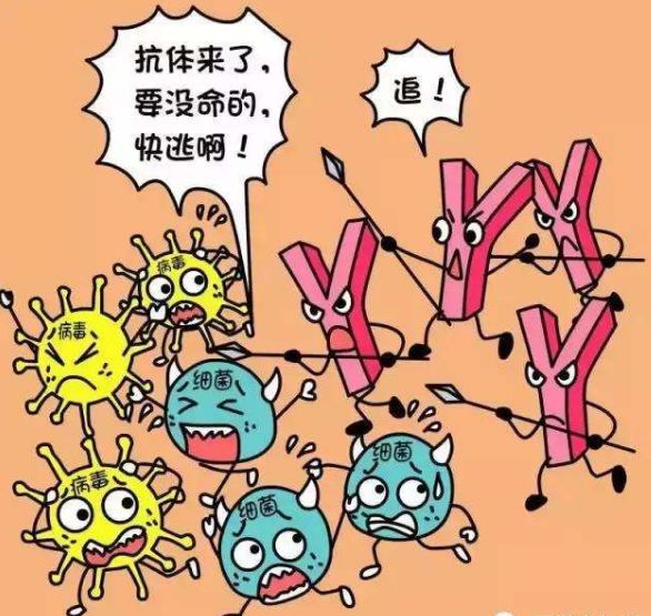 疫苗接种导致的不良反应,打甲肝疫苗和麻腮风疫苗不良反应