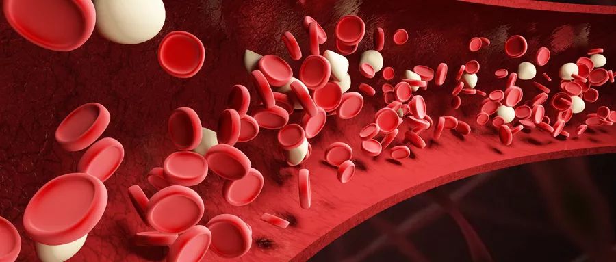 血液透析过程中低血压的处理,血透病人透析间期平常血压低