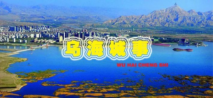 最新乌海公交车线路,乌海公交线路调整最新