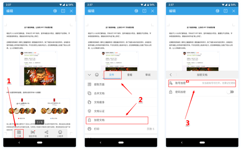 wps加密文档忘记密码了如何打开,加密文件打不开怎么复制