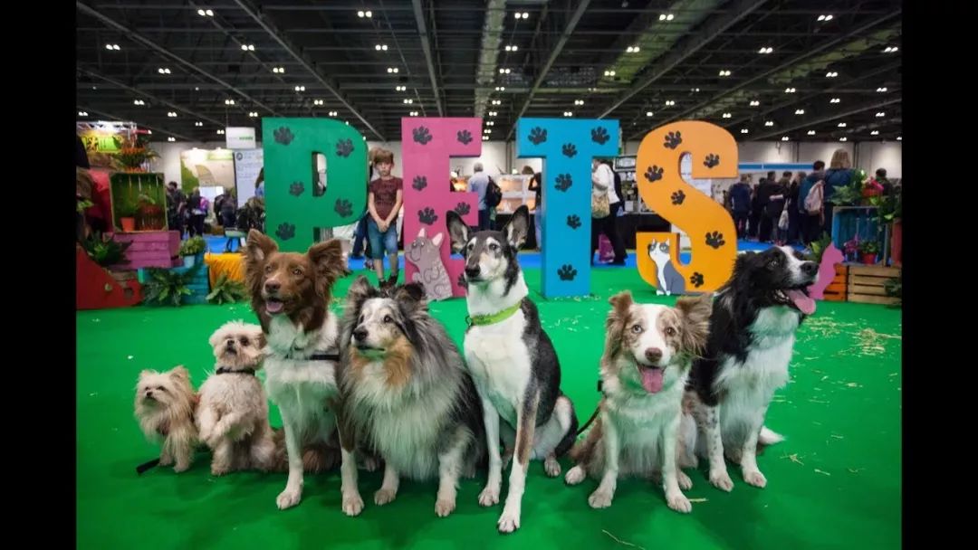 全城炒热！持续升温，纽村不村，2019最盛大的Family Day邀你来参加...…