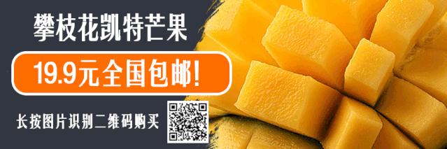 宜宾城市形象歌曲,宜宾市城市形象歌曲