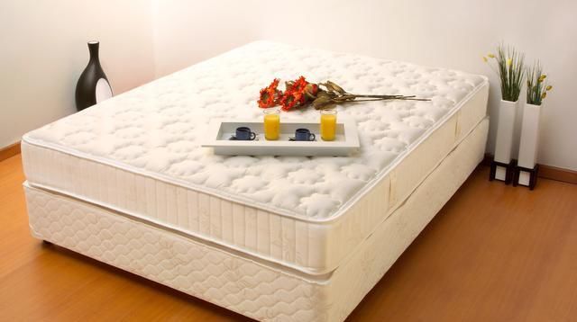 最有效治螨虫方法,家里螨虫成灾用了这一招