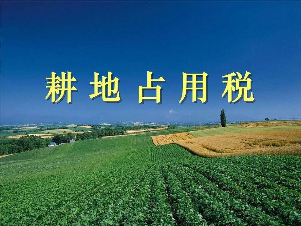 公安县农业户口人员请关注，这项决定9月1日起施行