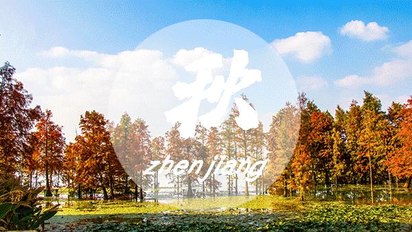 这个小区2478户业主领分红，镇江人你们小区的公共收益呢？