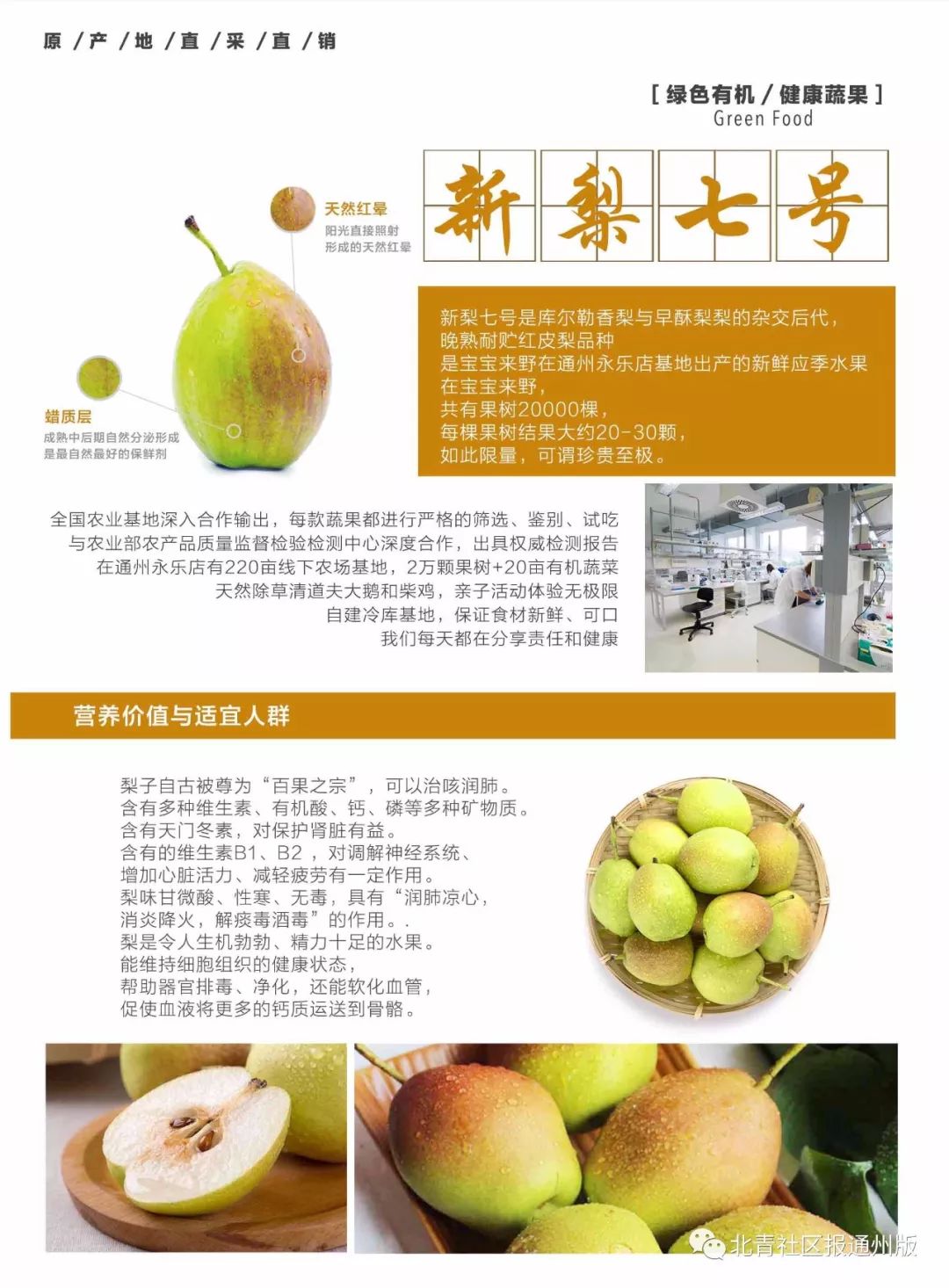 库尔勒特惠鲜梨,逛吃通州