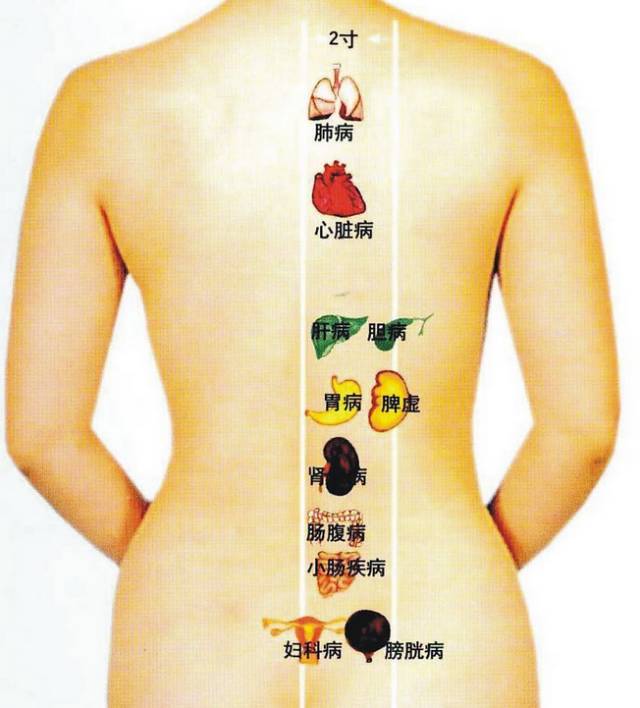 立秋怎么祛湿毒,养生大讲堂中医健脾祛湿