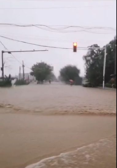 最新！利奇马或在海阳登陆！烟台暴风雨来了，山东全面进入应急态势：停业、停课！