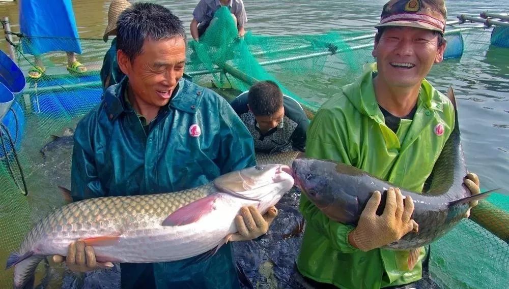 提醒吃海鲜的人们,广西开海节吃海鲜