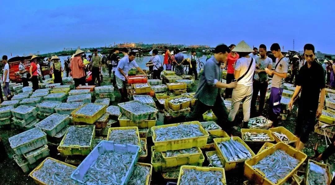 提醒吃海鲜的人们,广西开海节吃海鲜