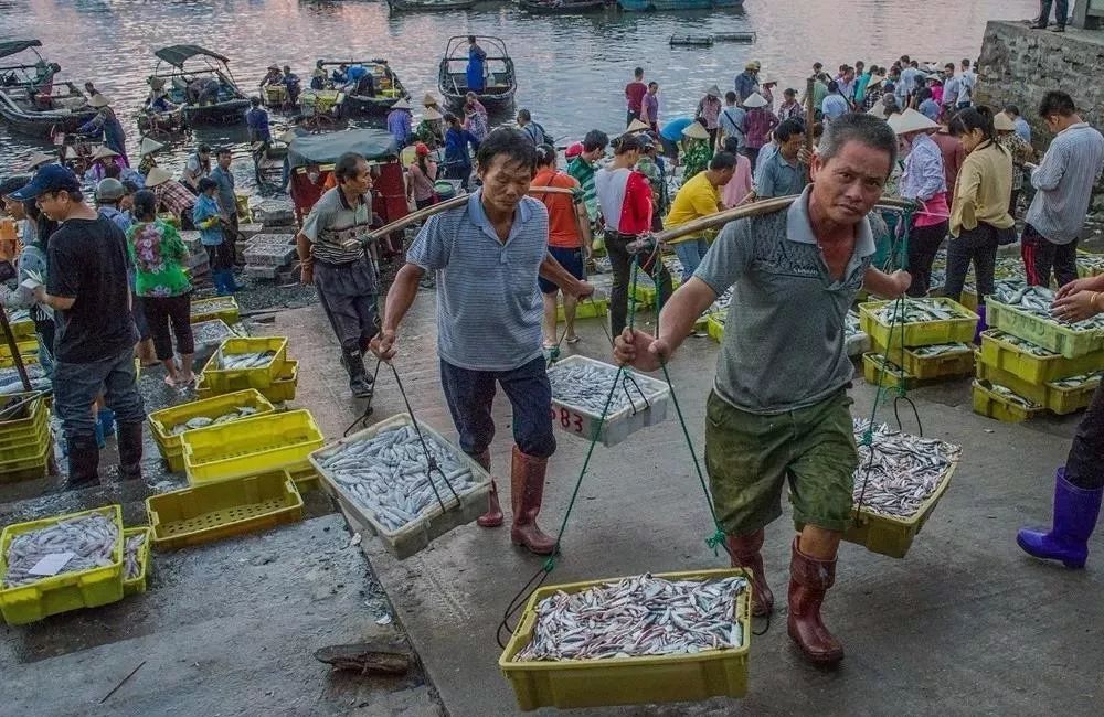 提醒吃海鲜的人们,广西开海节吃海鲜