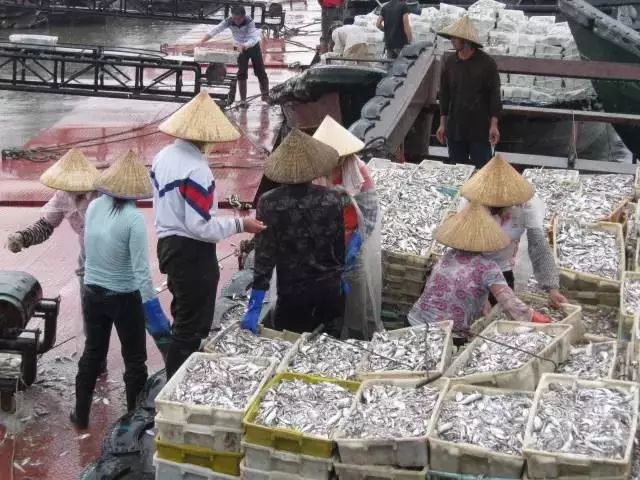 提醒吃海鲜的人们,广西开海节吃海鲜