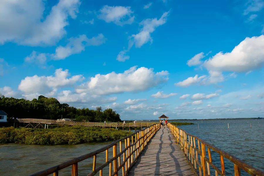 提醒吃海鲜的人们,广西开海节吃海鲜