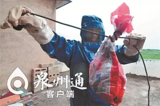 小心毒虫视频,警惕这种虫有人被咬后差点没命