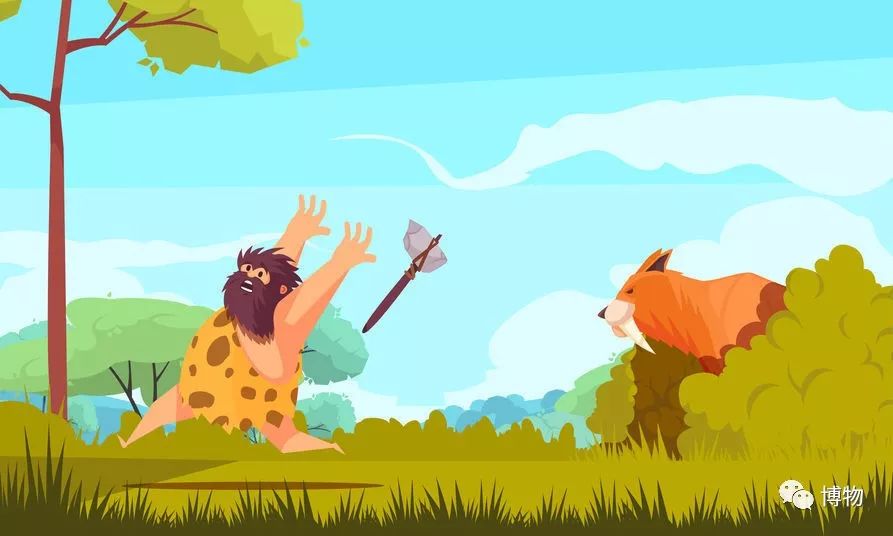 想研究野生动物？看看学这个专业的人都在干嘛吧