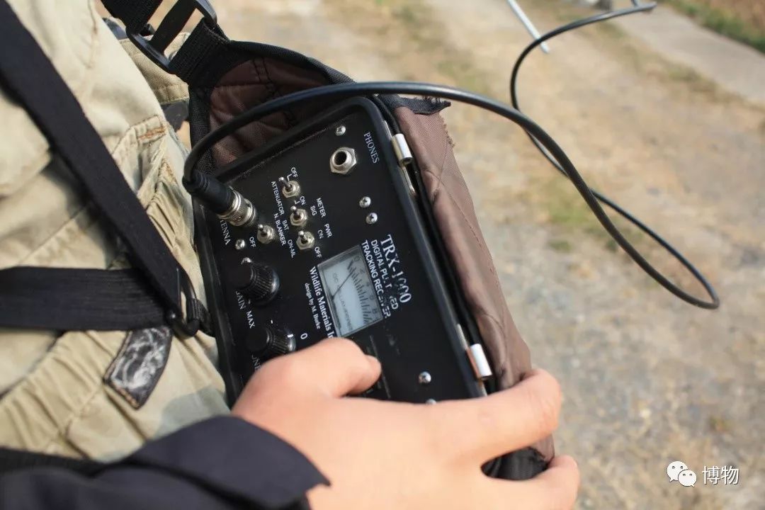 想研究野生动物？看看学这个专业的人都在干嘛吧