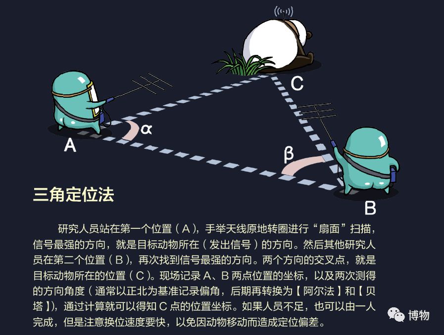想研究野生动物？看看学这个专业的人都在干嘛吧