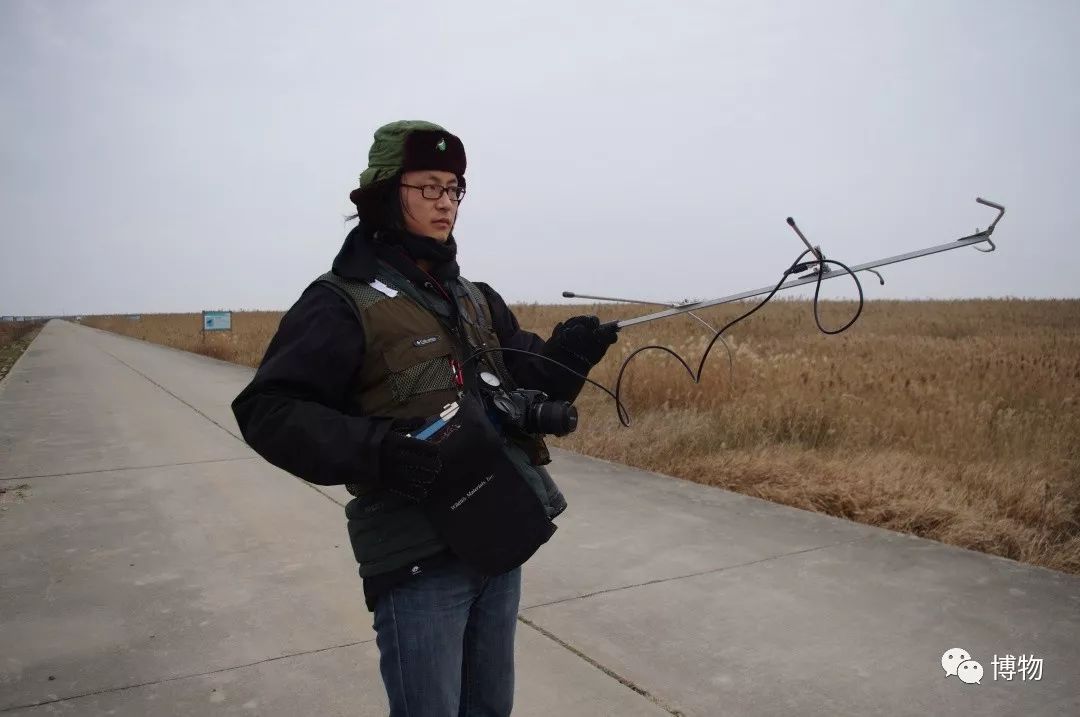 想研究野生动物？看看学这个专业的人都在干嘛吧