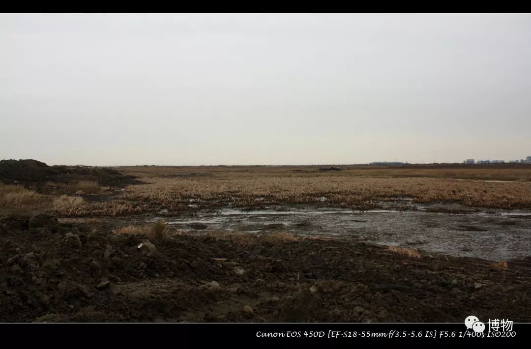 想研究野生动物？看看学这个专业的人都在干嘛吧