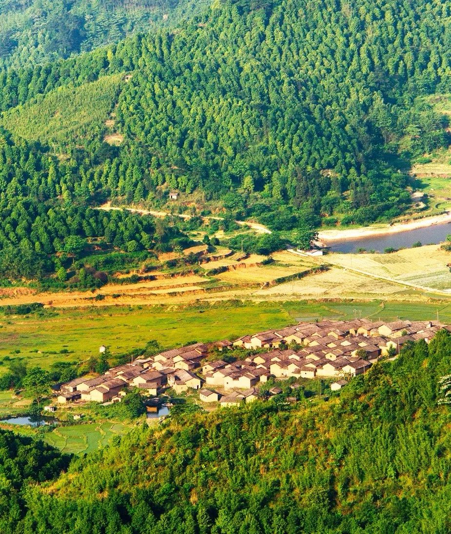 上林旅游打卡地,上林游玩景点推荐