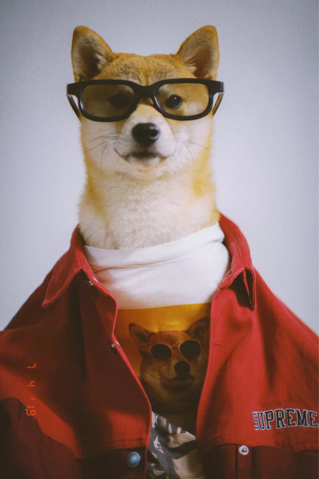 什么！？这是一个你没有见过的全新毒App社区