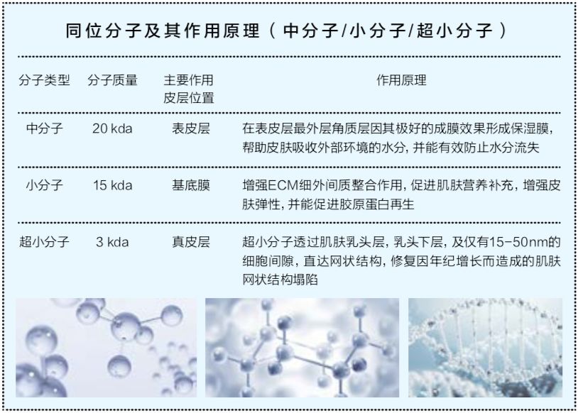 vishya玻尿酸德国价格,玻尿酸水光抗皱抚纹霜