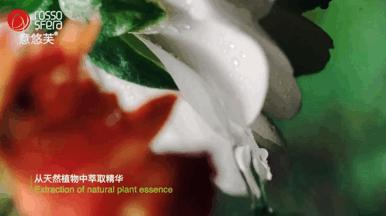 铁锅怎么养锅才不粘锅,熟铁锅怎么养才不粘锅