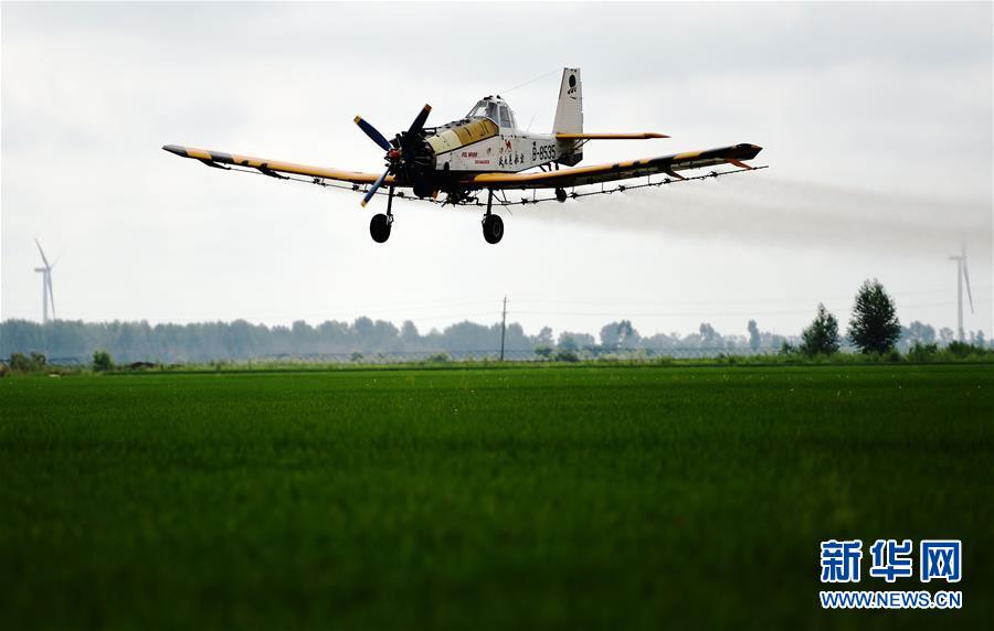 黑土龙腾新跨越——黑龙江省争当农业现代化排头兵巡礼