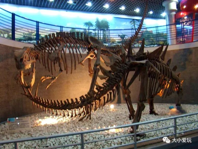 京城避暑的好去处,京城夏日好玩的地方