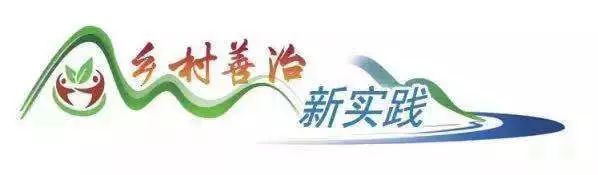 村干部如何进行乡村治理,领导干部在乡村治理中的问题