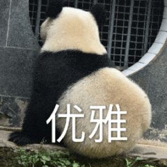 遛狗师一个月挣多少钱,遛狗师一年的工资