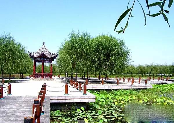 刷屏了！临沂三河口再现“琅琊八景”之“沂水拖蓝”！