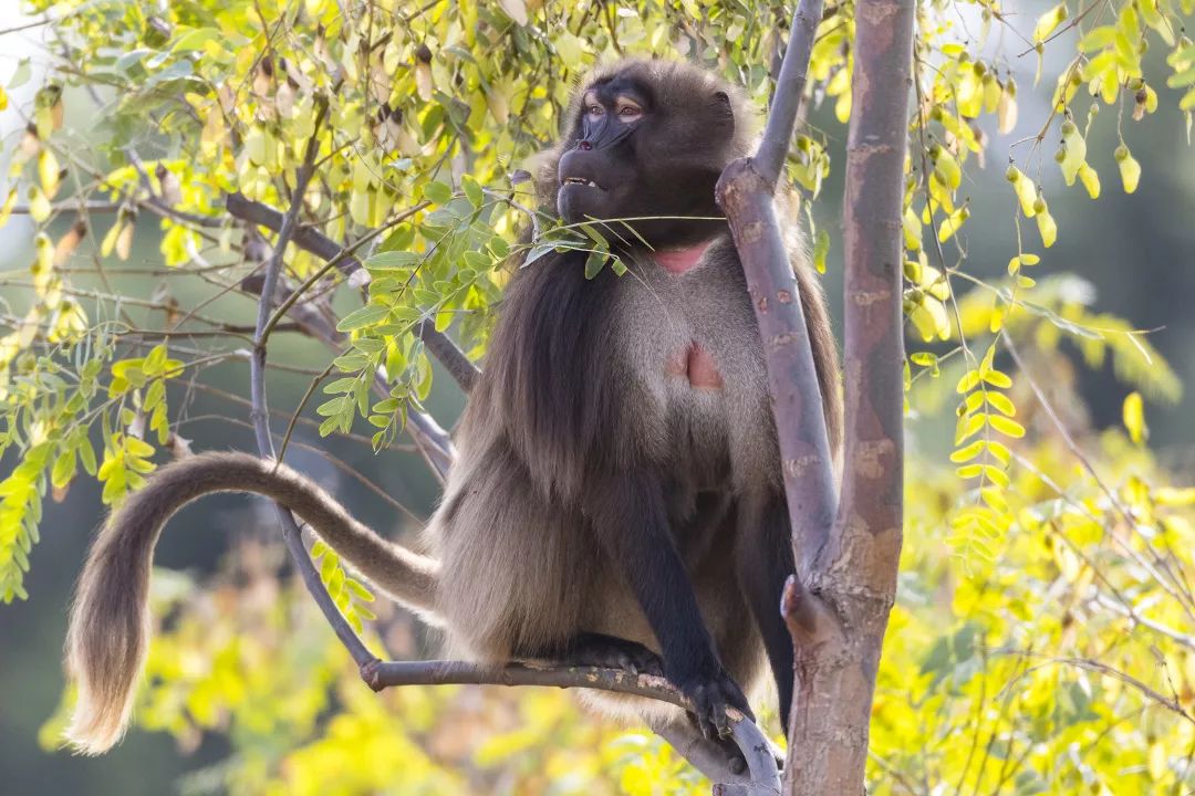漫步圣地亚哥海边,圣地亚哥海岸风光