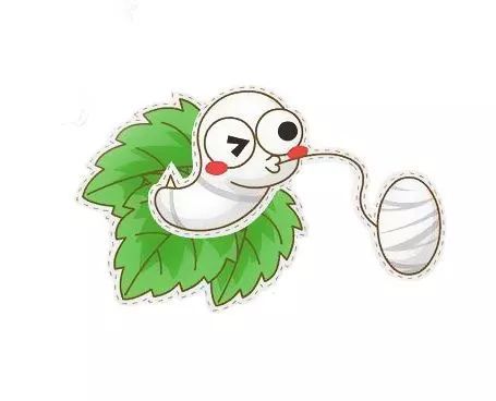 贵州荔波县哪些农业项目,荔波种植什么最赚钱