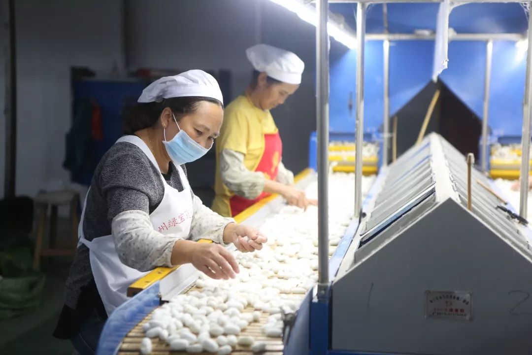 贵州荔波县哪些农业项目,荔波种植什么最赚钱