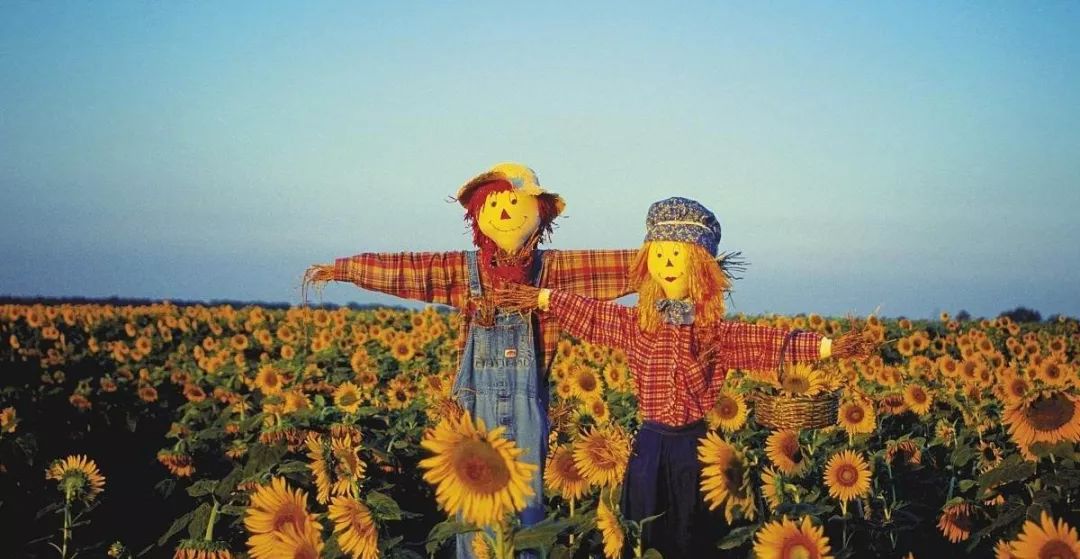 健康伴青春同行！来自江大校医院的温馨提示哦