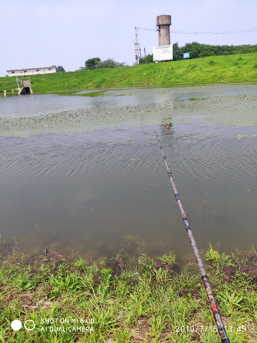 路亚轮怎么清洗,路亚轮拆装保养视频
