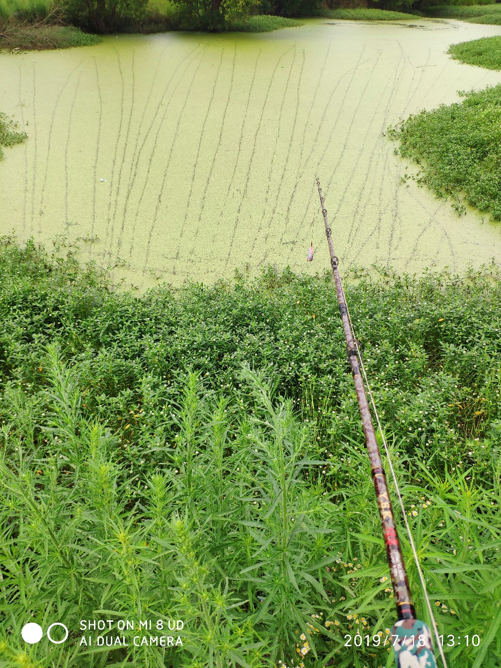 路亚轮怎么清洗,路亚轮拆装保养视频