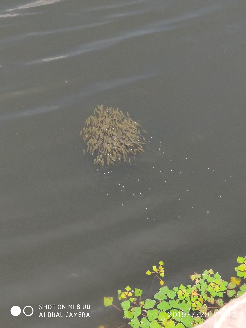 路亚轮怎么清洗,路亚轮拆装保养视频