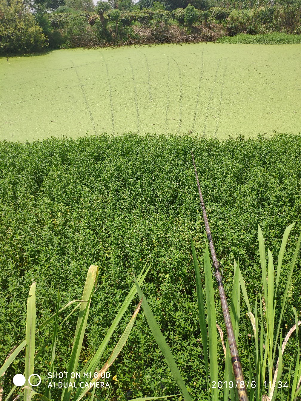 路亚轮怎么清洗,路亚轮拆装保养视频