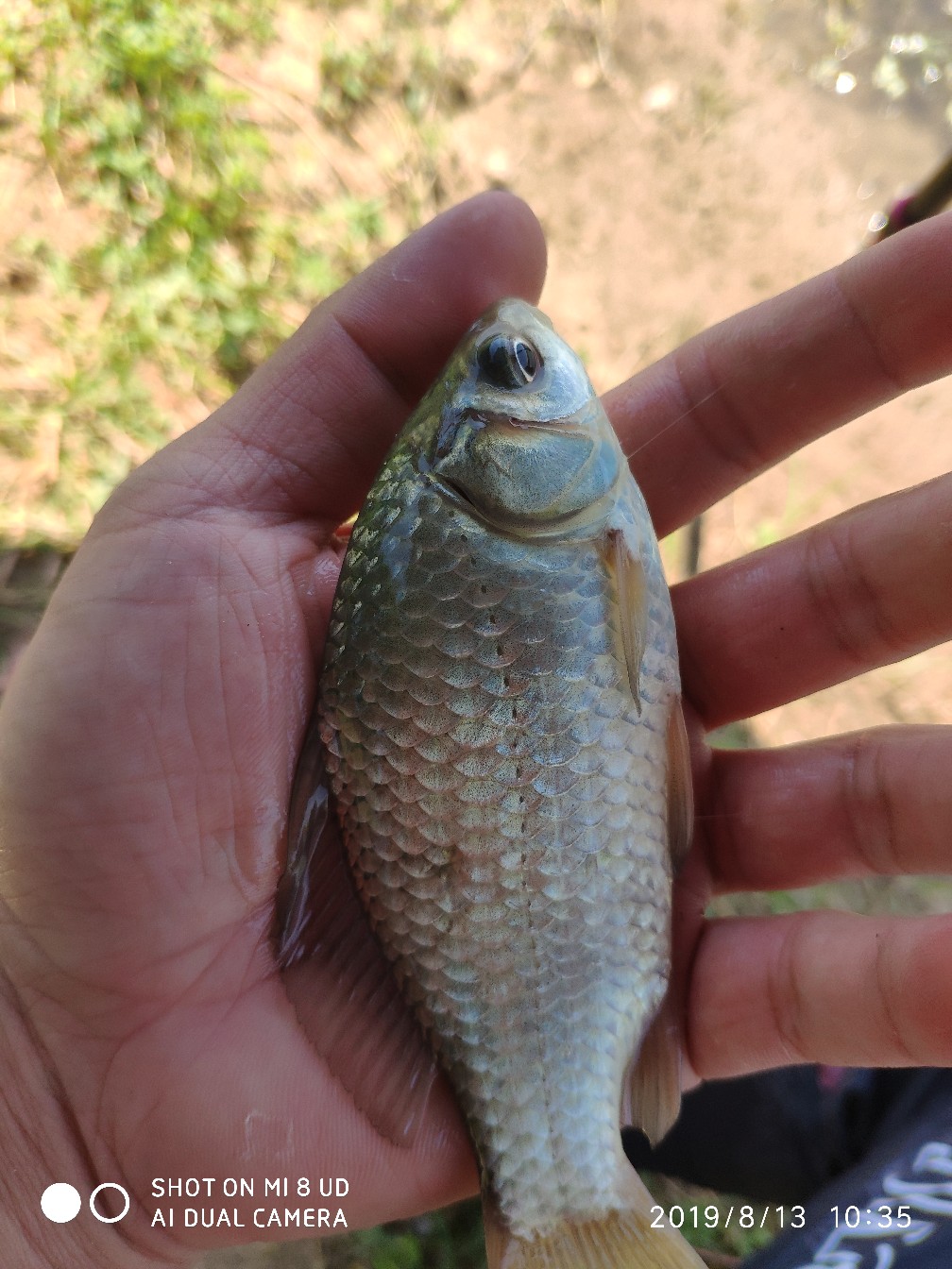 路亚轮怎么清洗,路亚轮拆装保养视频