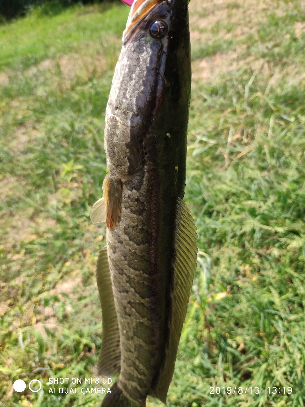 路亚轮怎么清洗,路亚轮拆装保养视频