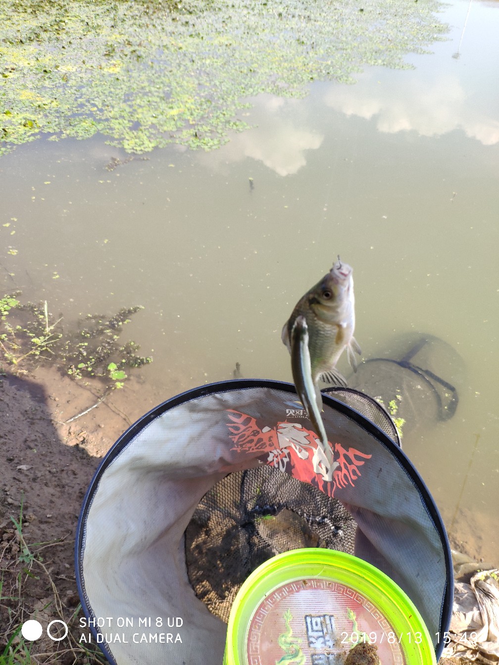 路亚轮怎么清洗,路亚轮拆装保养视频