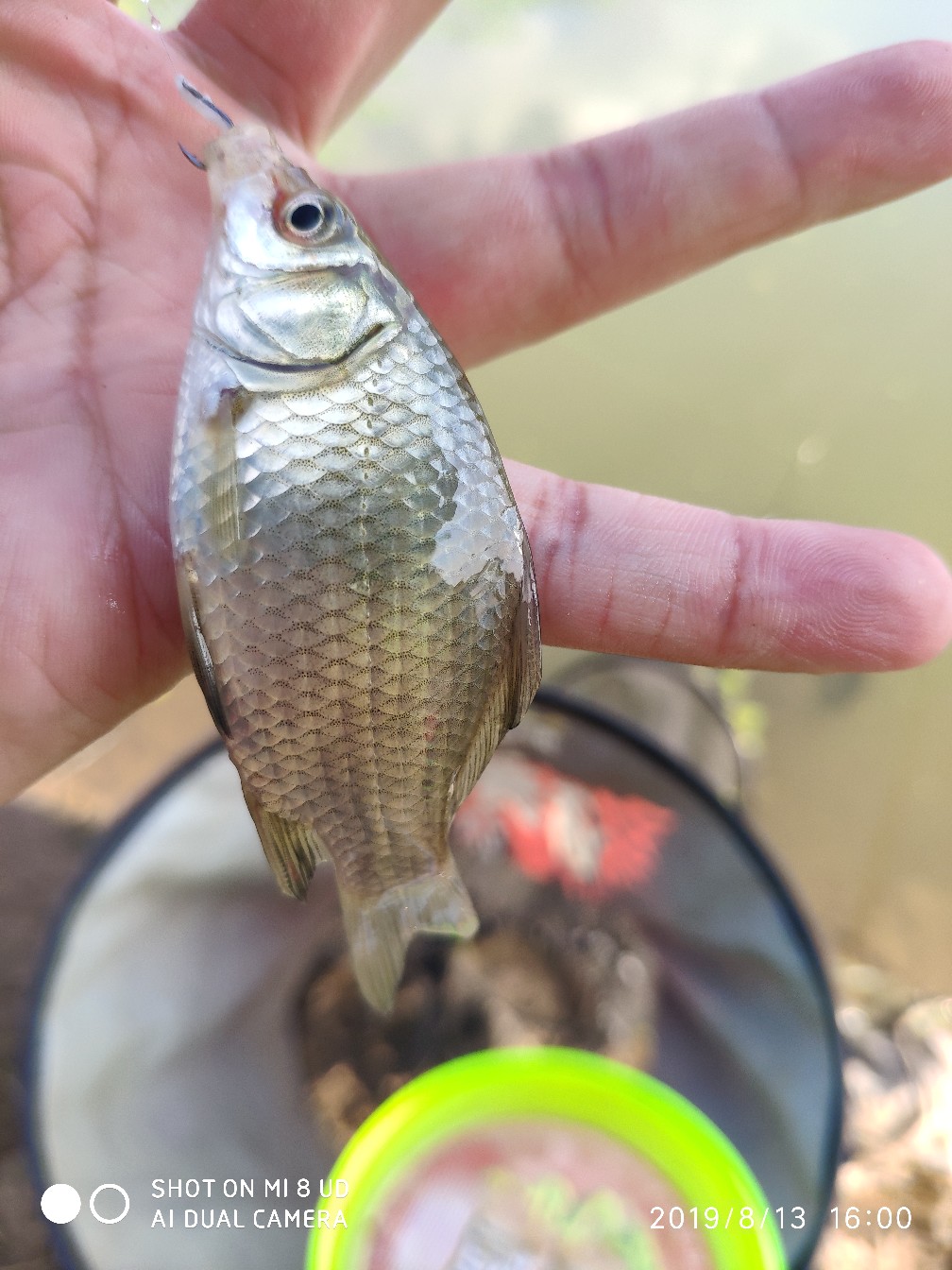 路亚轮怎么清洗,路亚轮拆装保养视频