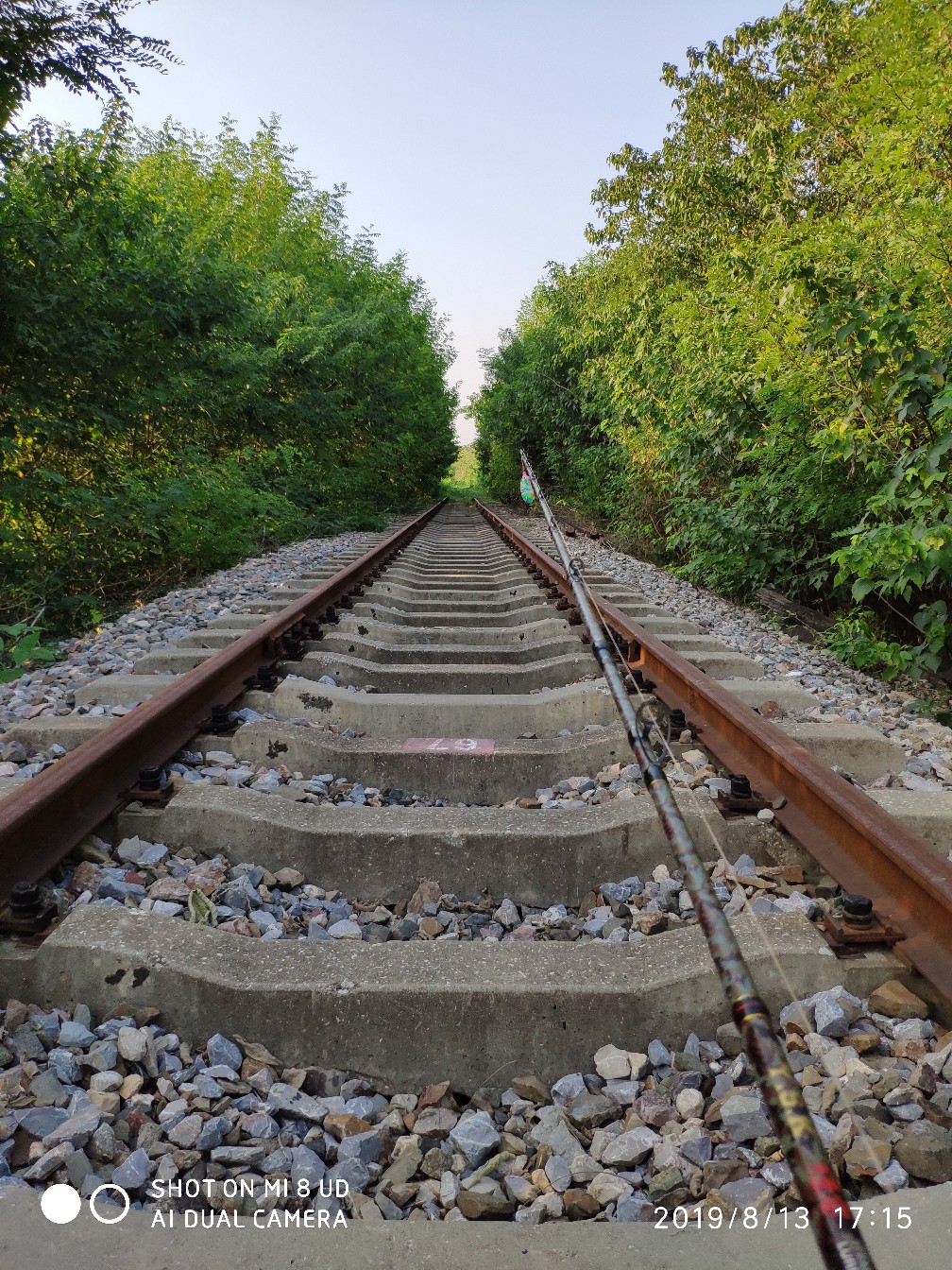 路亚轮怎么清洗,路亚轮拆装保养视频