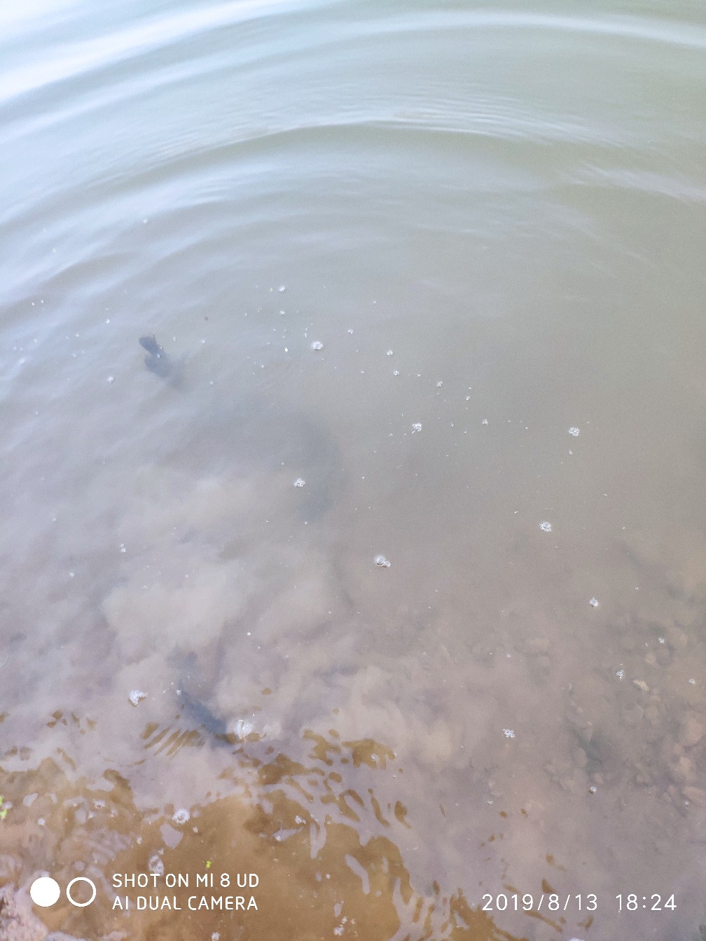 路亚轮怎么清洗,路亚轮拆装保养视频