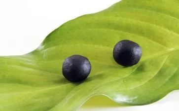 六味地黄丸的神奇秘密,听说过六味地黄丸吗