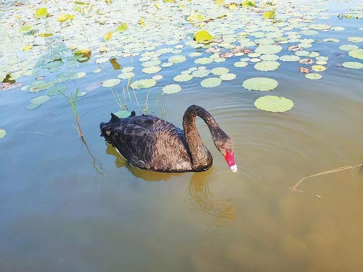 Hello！星期天丨衡水人上周你错过了哪些大事？快来看看吧