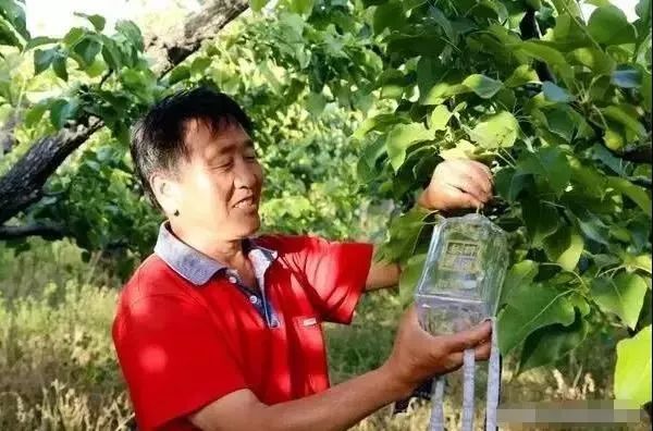 Hello！星期天丨衡水人上周你错过了哪些大事？快来看看吧