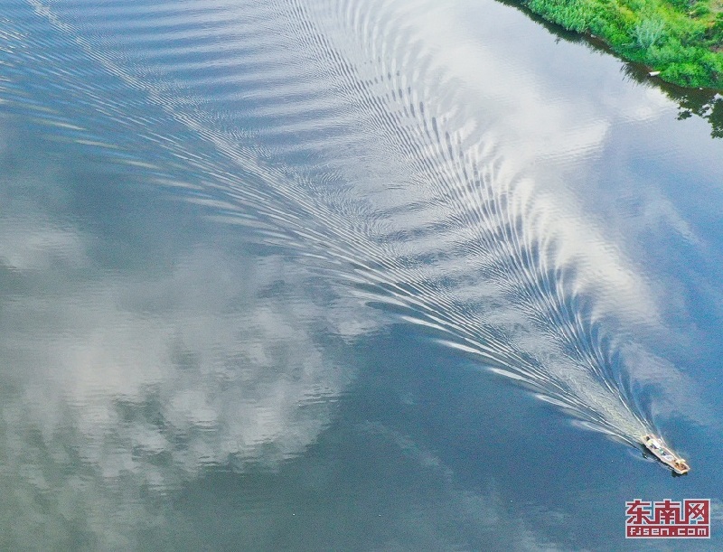 厦门鹭岛风景图,鹭岛全景